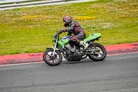 brands-hatch-photographs;brands-no-limits-trackday;cadwell-trackday-photographs;enduro-digital-images;event-digital-images;eventdigitalimages;no-limits-trackdays;peter-wileman-photography;racing-digital-images;trackday-digital-images;trackday-photos